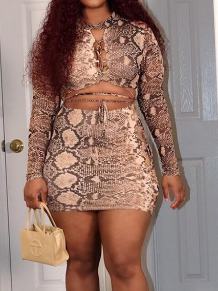 Snake Print Tie-waist Long-sleeved Dress HWULYUZLFH