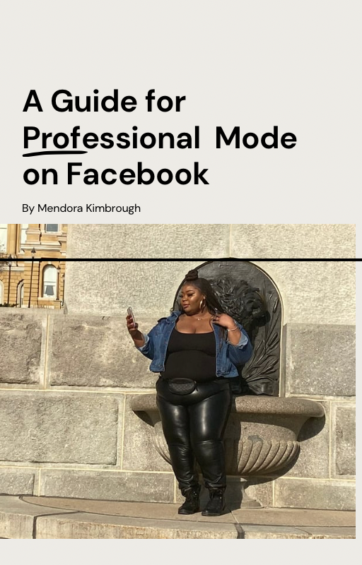 E-Guide Facebook Professional Mode